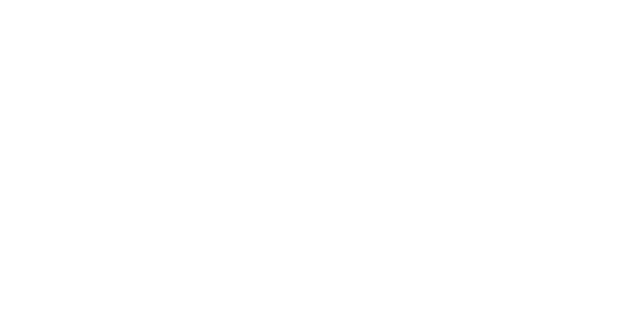 Instech